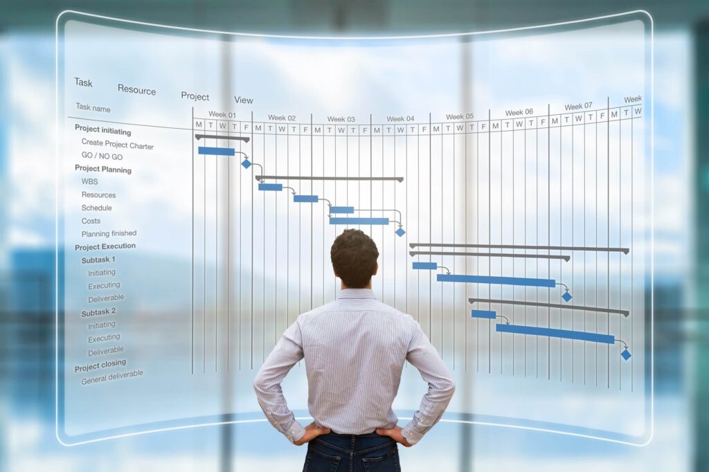 Overall picture of system development schedule